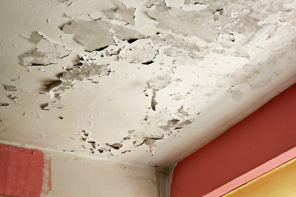 Common home mistakes to avoid